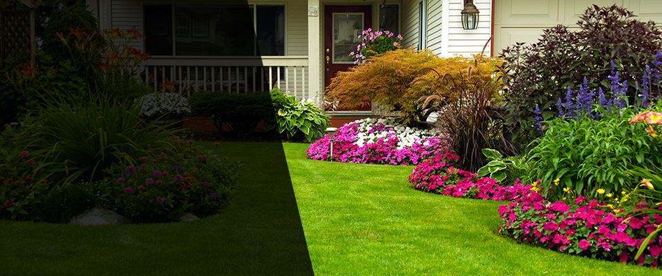 Carefree Landscapers